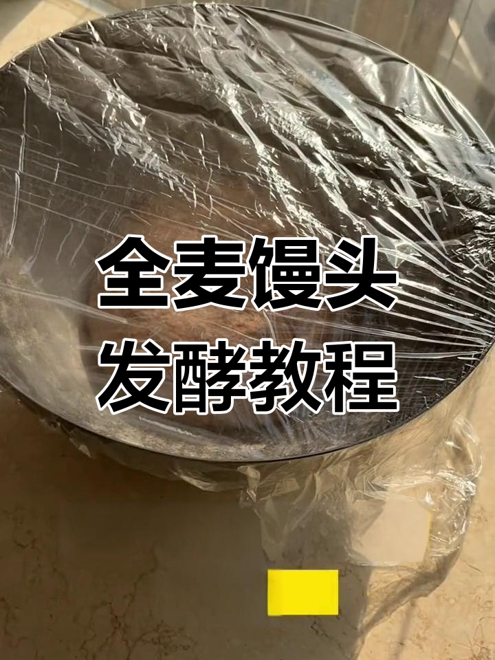 冬季全麦馒头做法,发面蒸制技巧大揭秘