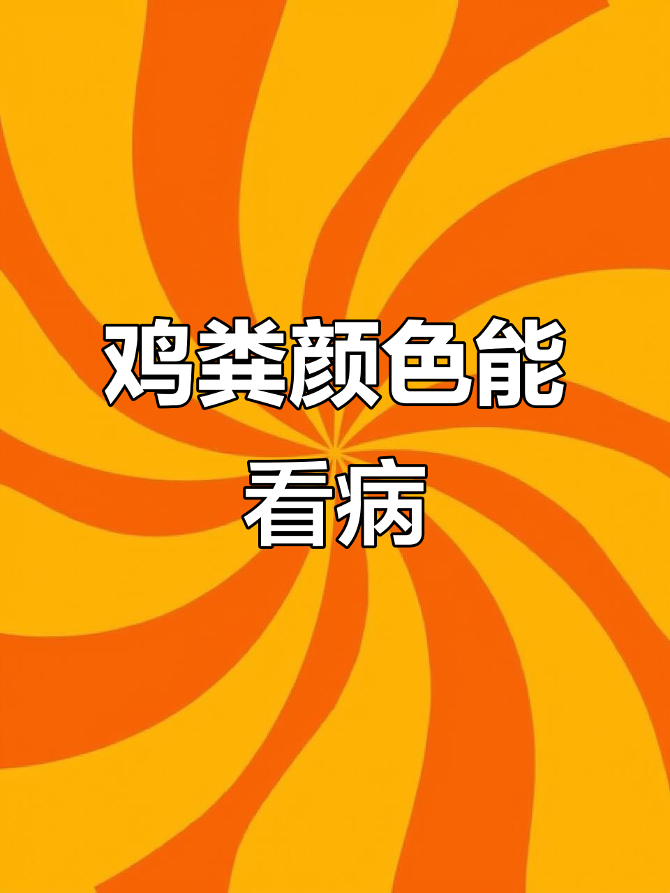 鸡群粪便颜色能透露健康信号,养殖户必看!