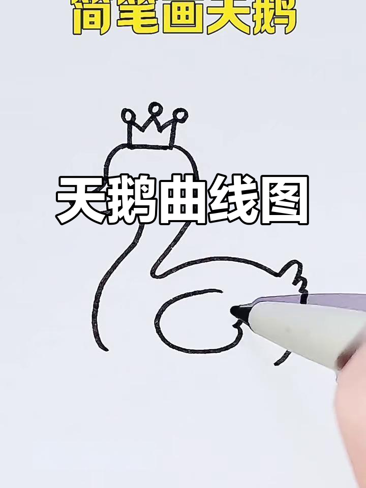 简笔画天鹅，曲颈高歌浮绿水