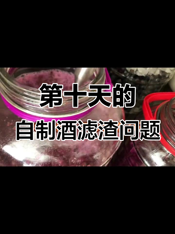自制葡萄酒10天,渣还没沉底能过滤吗?