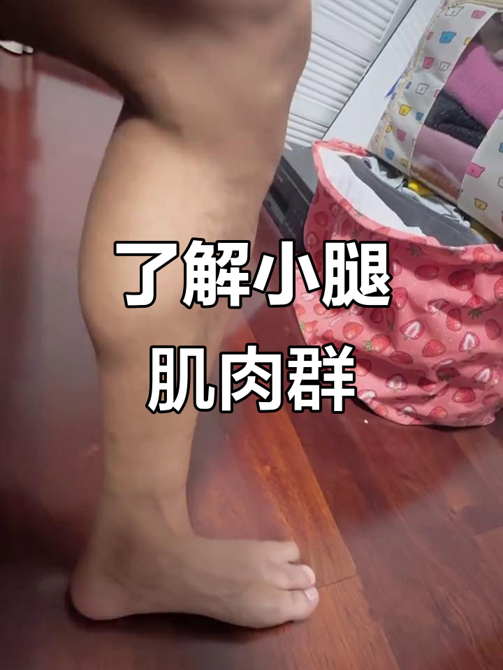 小腿肌肉大揭秘：腓肠肌、比目鱼肌全解析
