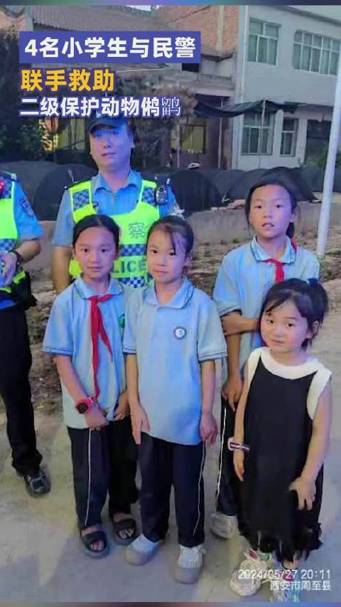「4名小学生与民警联手救助受伤鸺鹠 系国家二级保护动物」5月27日,陕西西安,西安公安 周