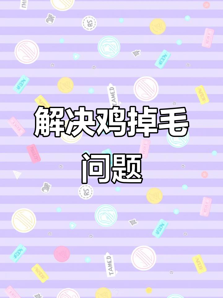 鸡掉毛的五大原因及解决方法,轻松搞定!