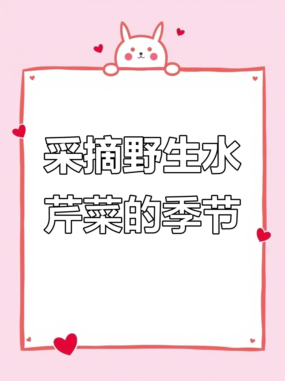 山上采野生水芹菜,黑土地里的美味宝藏