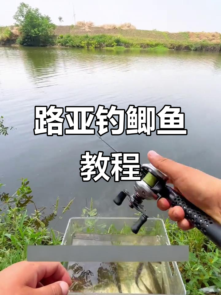 路亚逗钓鲫鱼技巧大揭秘,掌握这些让你轻松上手!