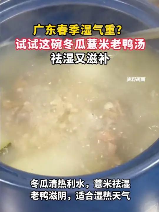 广东春季湿气重?试试这碗冬瓜薏米老鸭汤,祛湿又滋补
