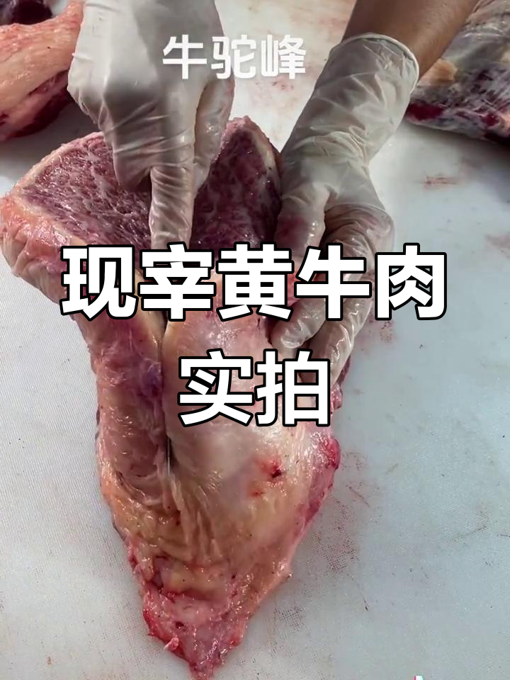 牛驼峰美景与新鲜黄牛肉
