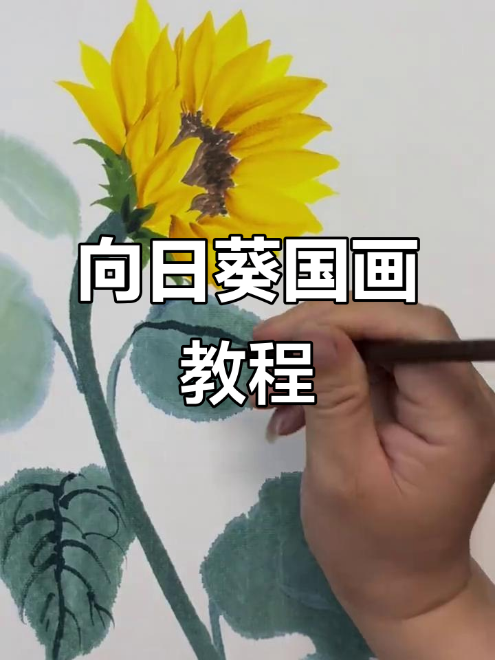 画出充满阳光的向日葵,步骤详解国画技巧