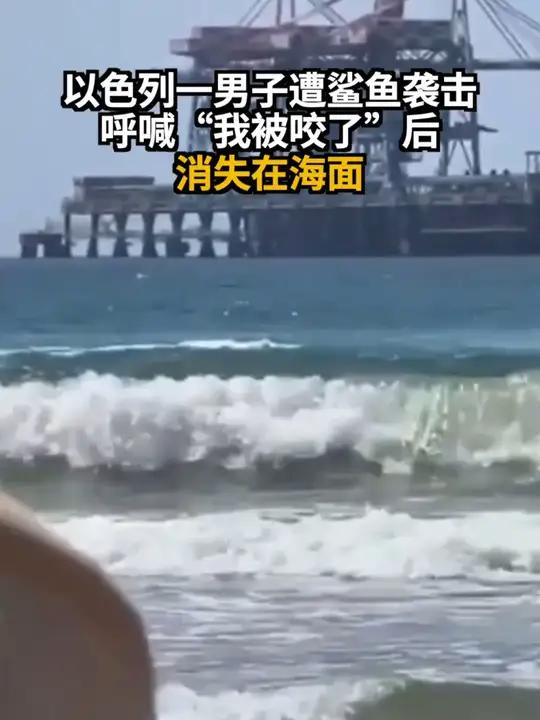 以色列一男子遭鲨鱼袭击 呼喊“我被咬了”后消失在海面