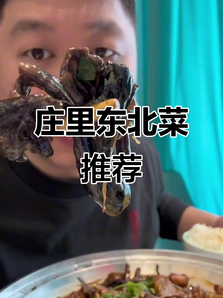 庄里东北菜馆全攻略:经典锅包肉、杀猪菜必试