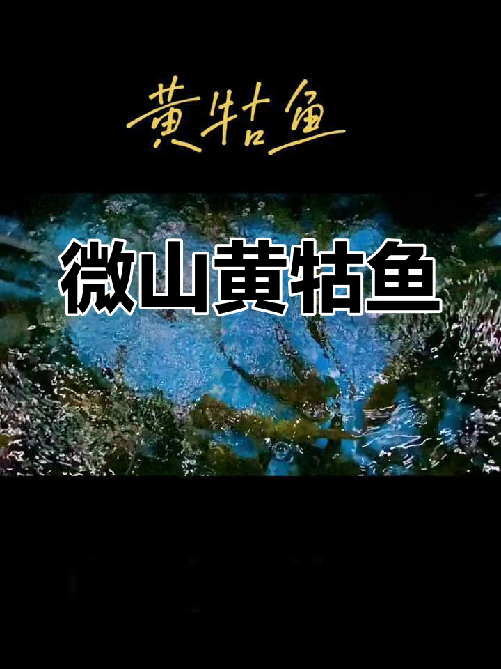 黄牯鱼:微山湖的独特鱼类