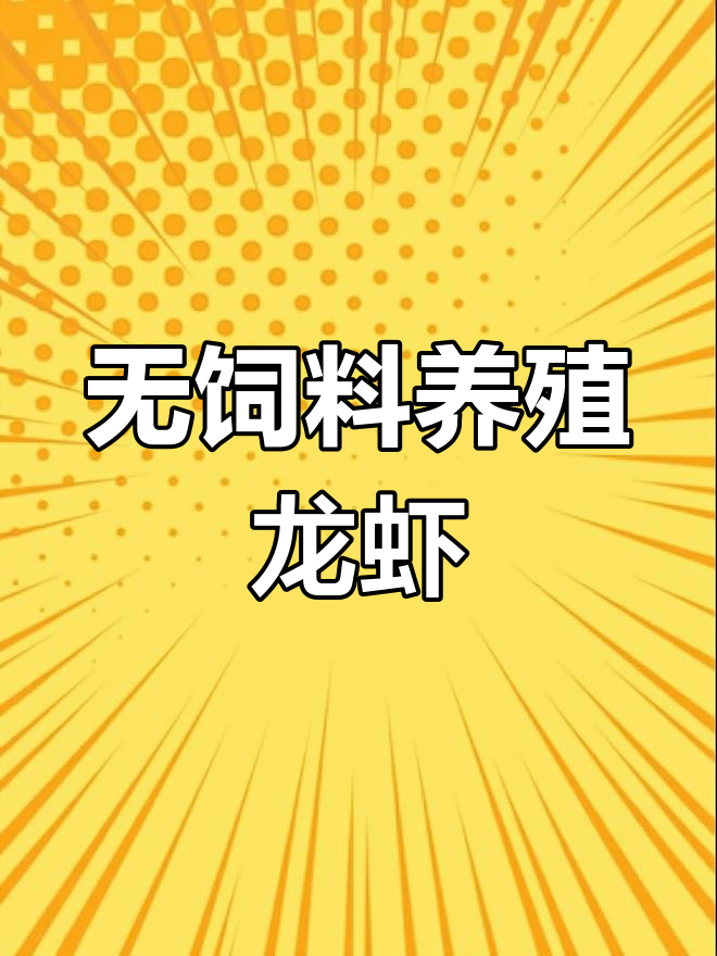 野草养龙虾,无饲料投入照样长成大虾
