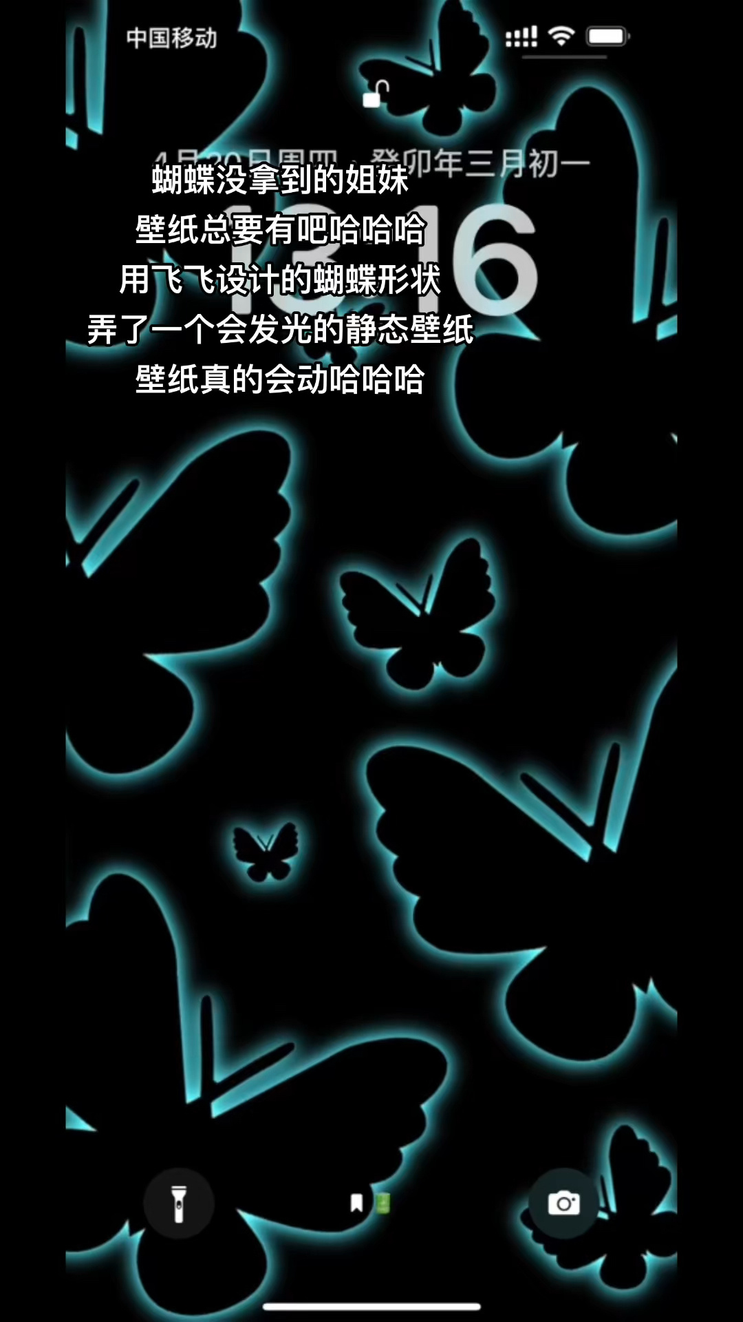 蝴蝶效应壁纸