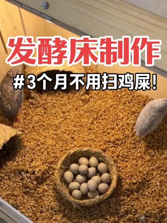 发酵床的制作方法 真的是懒人的福音!