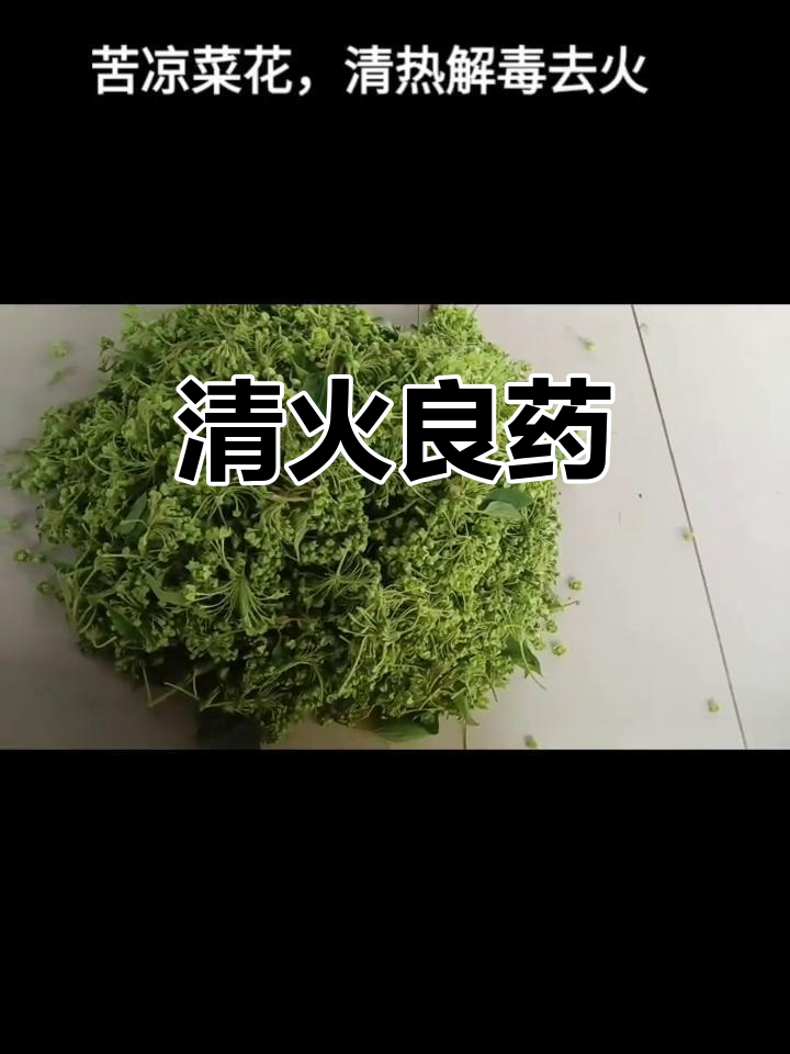 苦凉菜煮食,清火解毒,适合各年龄段食用