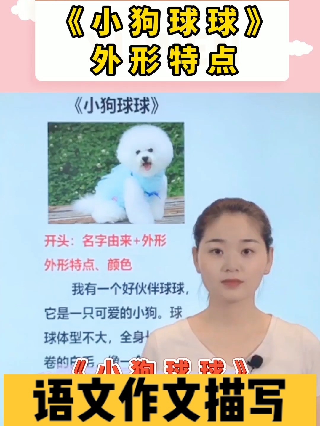 小学语文作文动物类外形描写特点,点击收