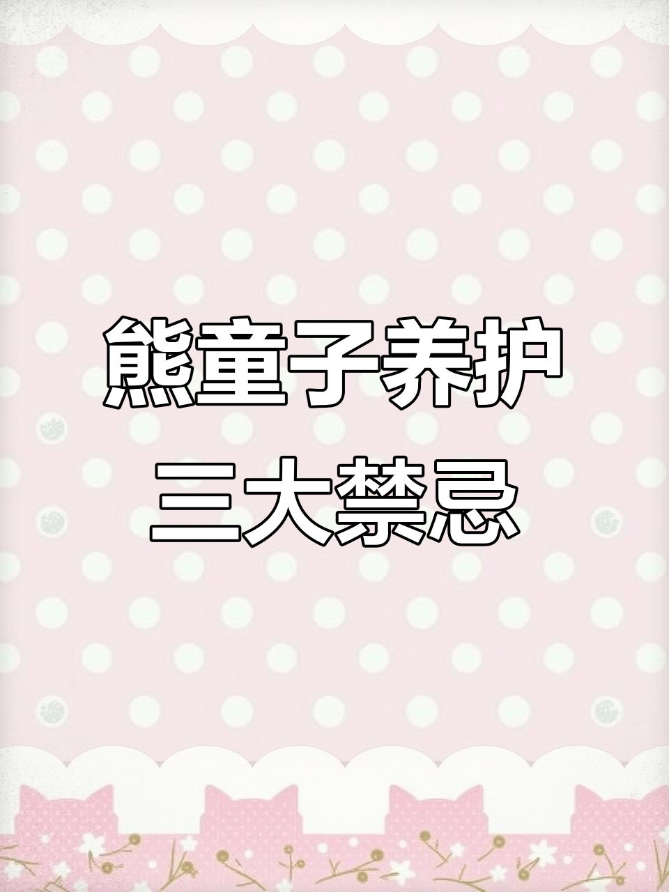 养熊童子必避的3个雷区,踩中一个就掉叶