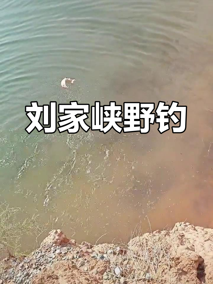 野生虹鳟鱼路亚垂钓体验