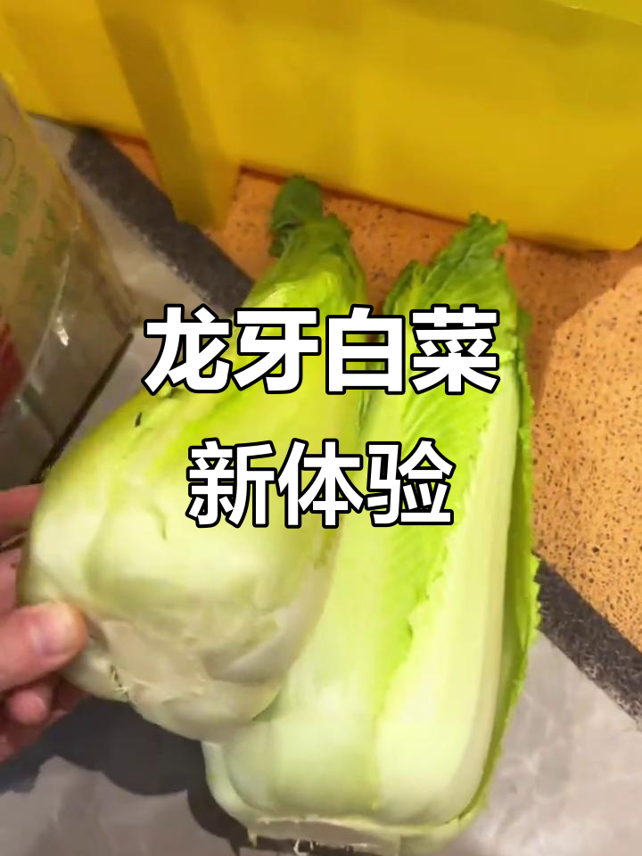 云南龙牙白菜,清新口感,告别传统菠菜的腻味!