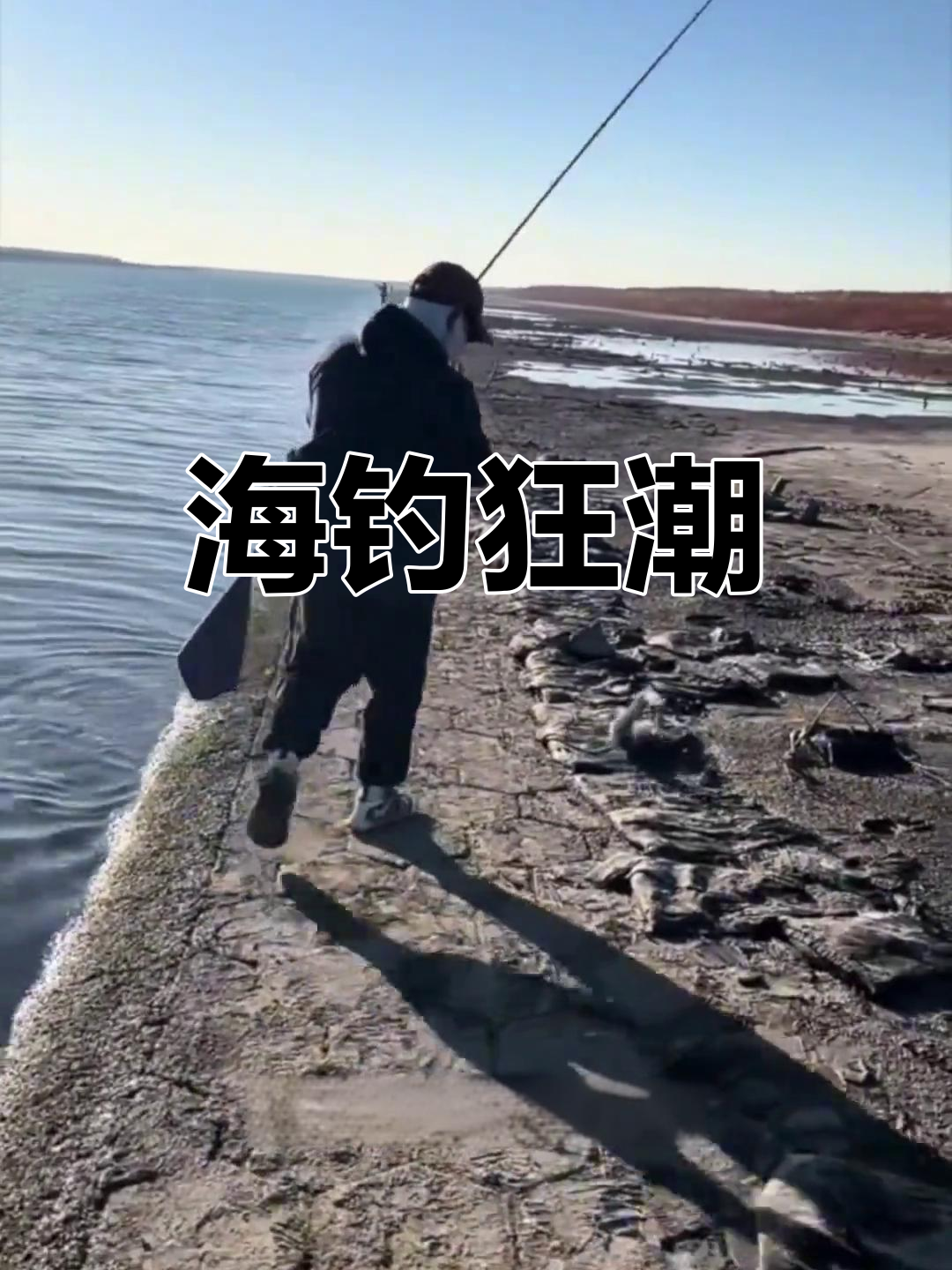 秦皇岛夜钓盛况,多种海鱼齐聚,钓鱼爱好者纷纷出动
