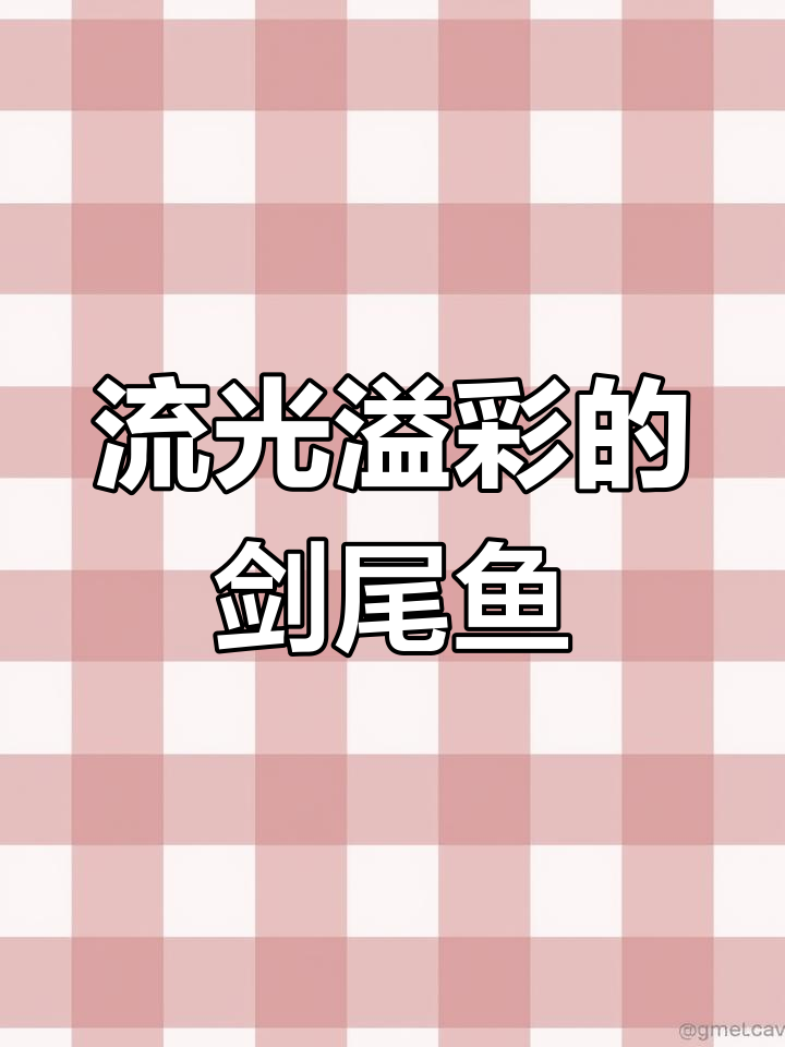 野生剑尾鱼,色彩斑斓的水族世界