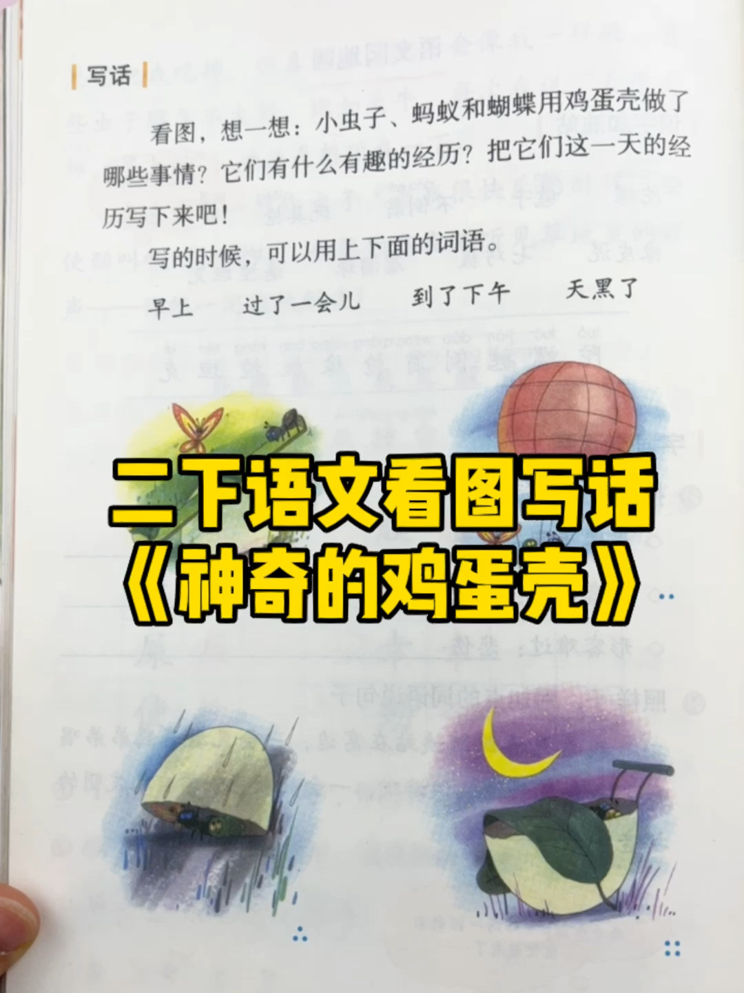 二年级下册四单元看图写话《神奇的鸡蛋壳》