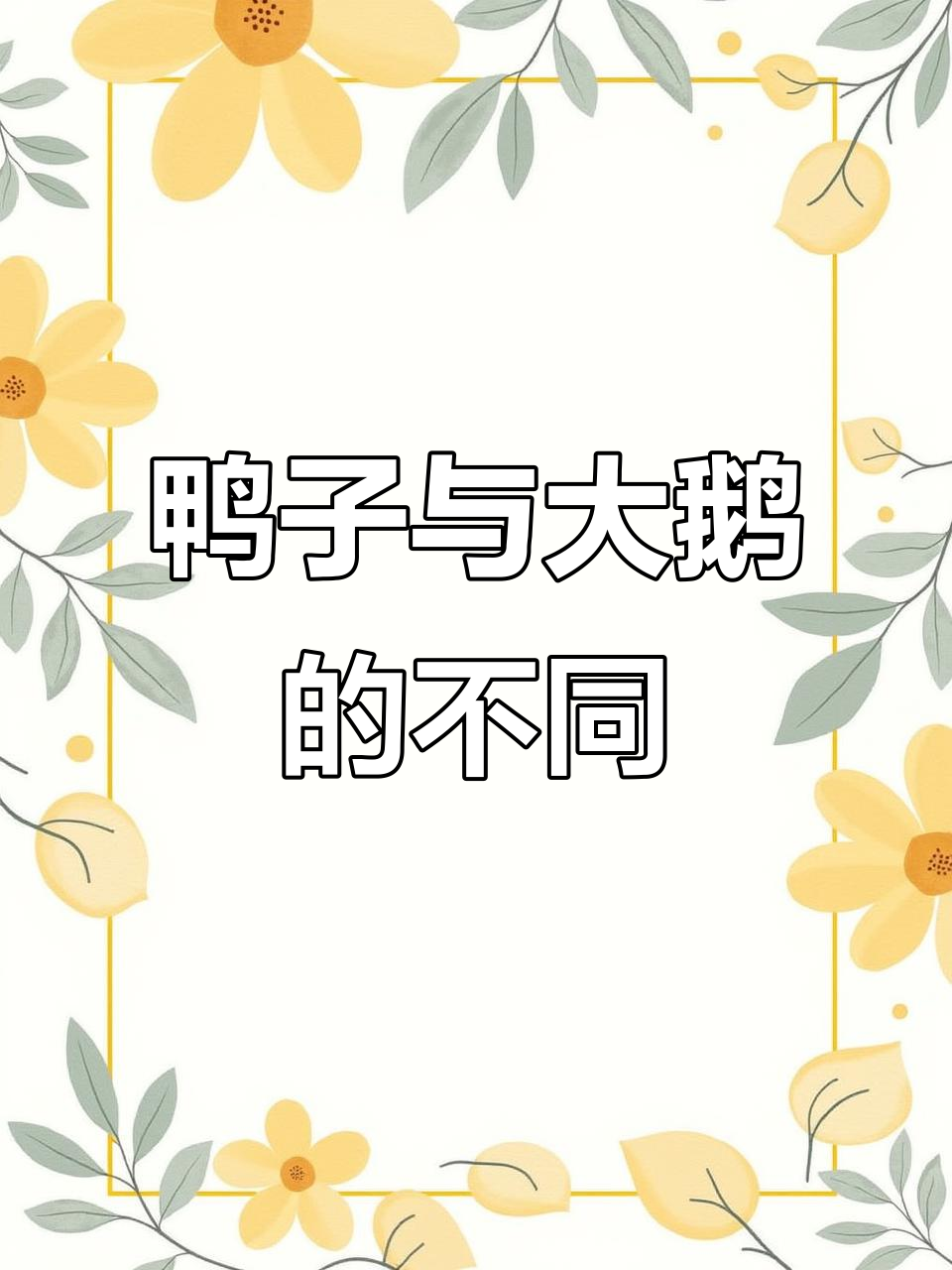 鸭子和鹅的区别，你知道吗？