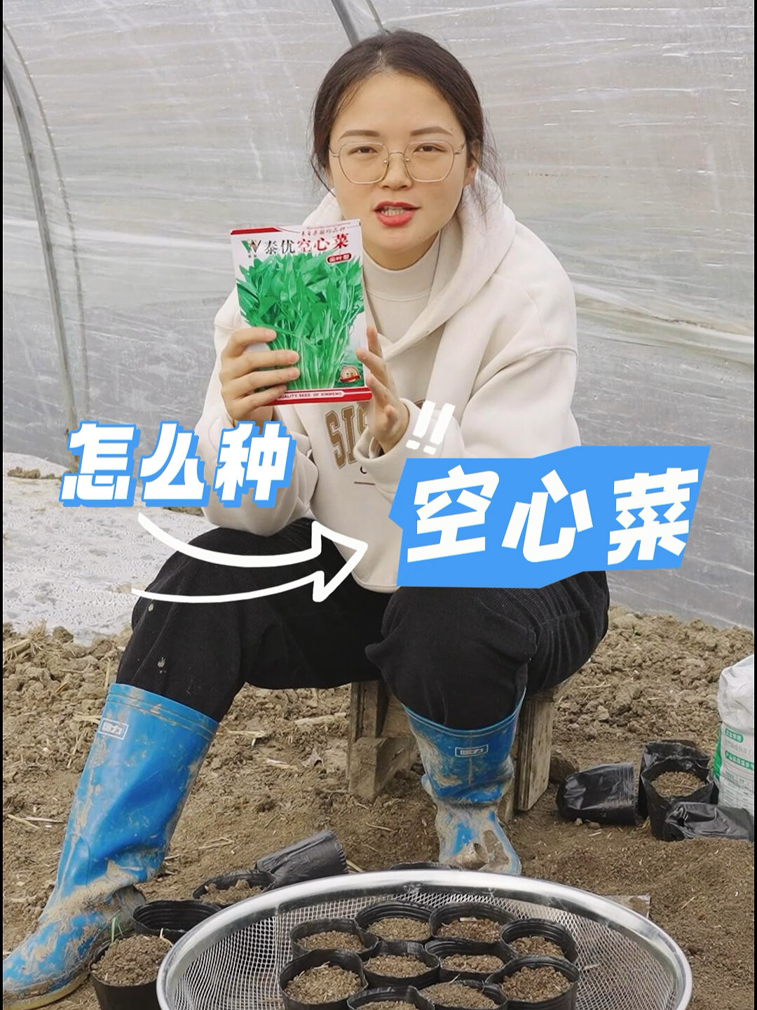 空心菜怎么种?种植时间和方法是什么呢?
