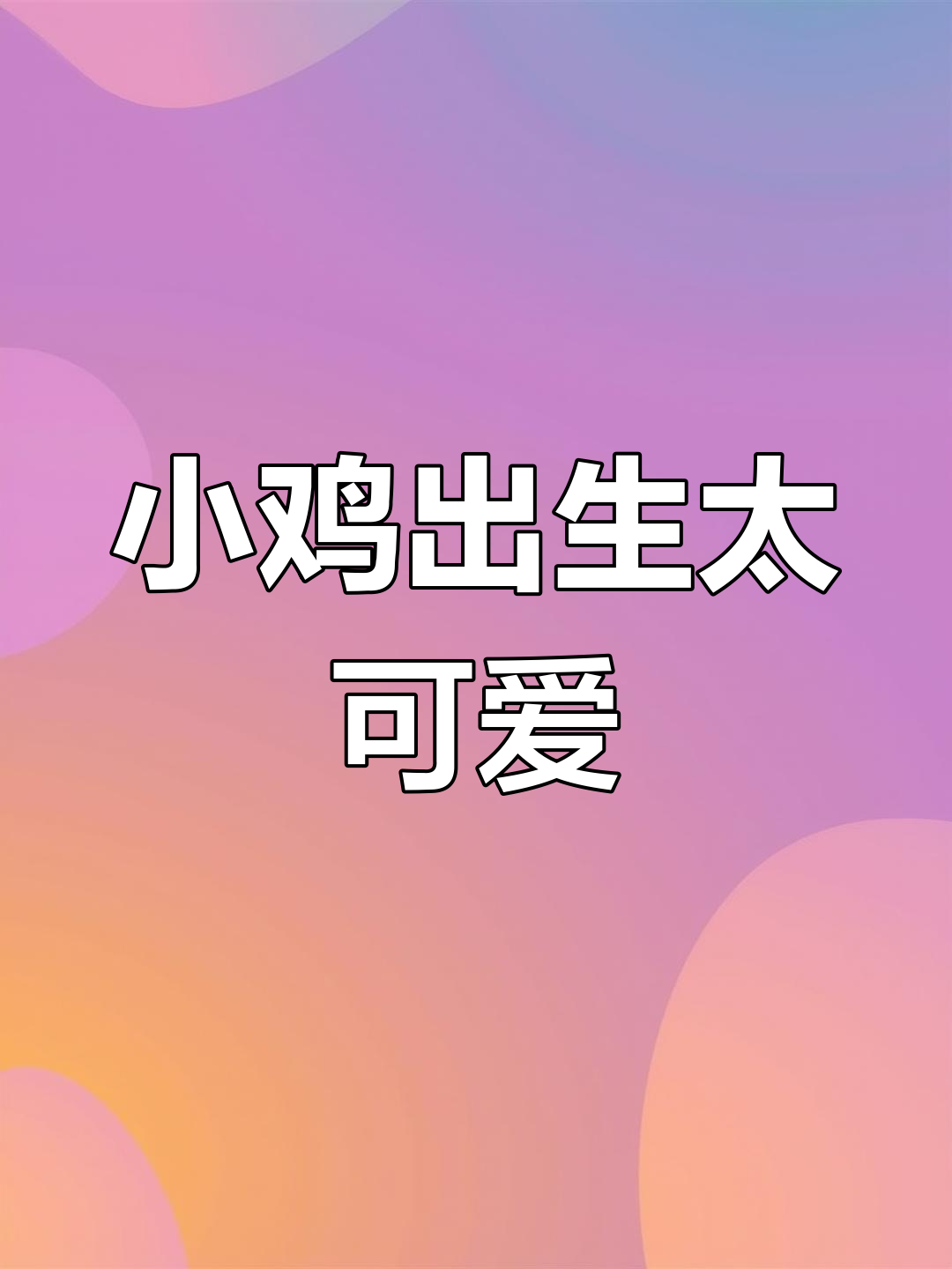 小鸡出壳全过程,萌宠们的迷惑行为大赏