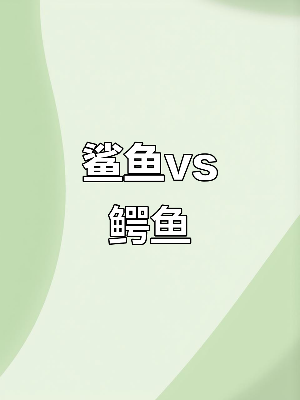 鲨鱼与鳄鱼的终极对决:谁才是水中王者?