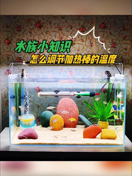 加热棒推荐,加热棒怎么调节温度?