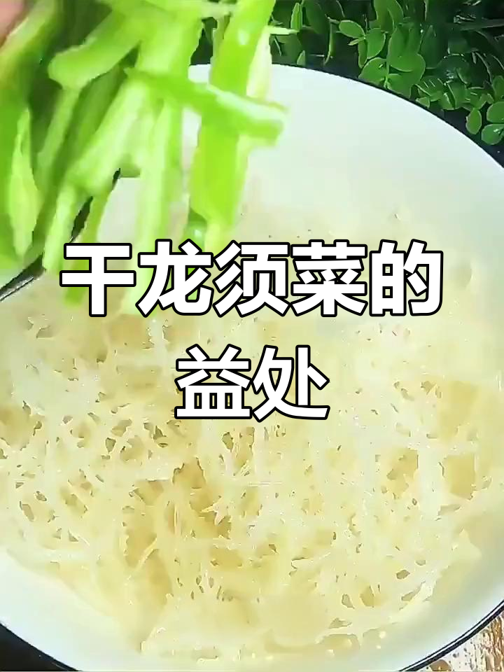 龙须菜的营养价值与功效