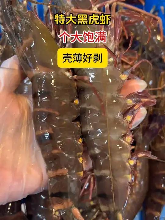 来自深海的珍品黑虎虾,又叫斑节虾,富含丰富的蛋白质和虾青素。好物推荐优质农产品美食快来一起