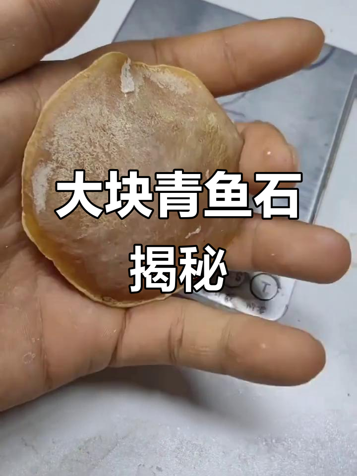 罕见大块青鱼石，100条青鱼才能出这么一块！