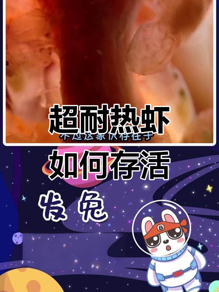 火山口高温下的超耐热虾,为何能生存而不被煮熟?