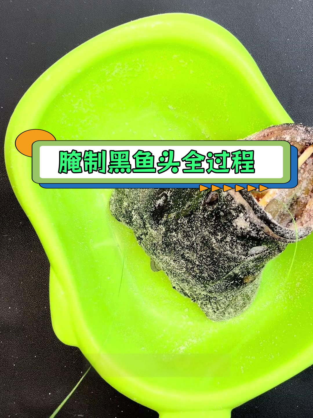 黑鱼标本制作全流程,成品揭秘