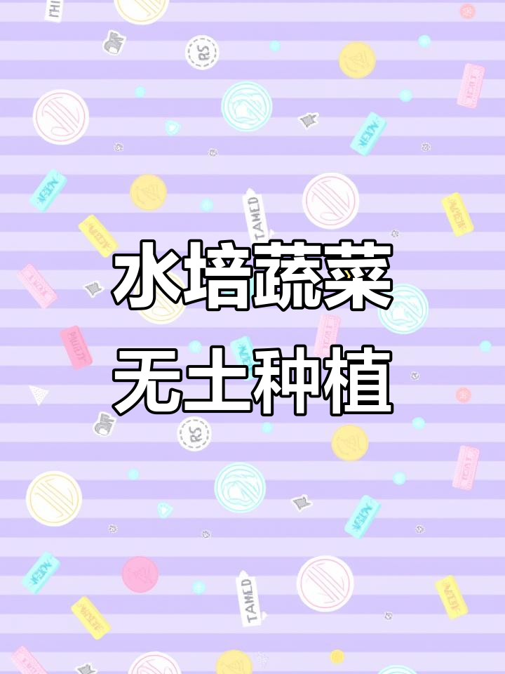废旧塑料瓶变白菜园，轻松水培大白菜