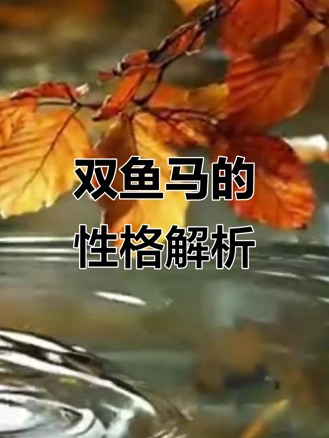 属马的双鱼座：外表开朗，内心敏感，情感丰富又复杂