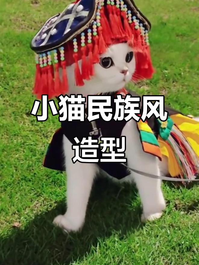 翠花试穿少数民族服饰,头饰手工打造惊艳登场