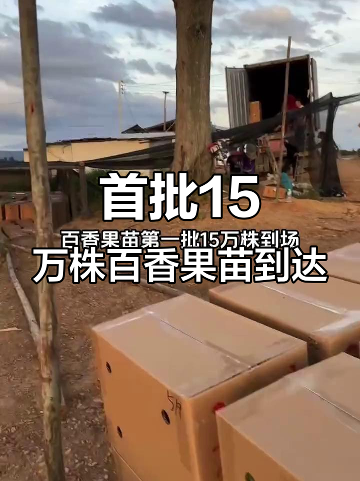 15万株百香果苗抵达泰国基地,助力当地种植发展