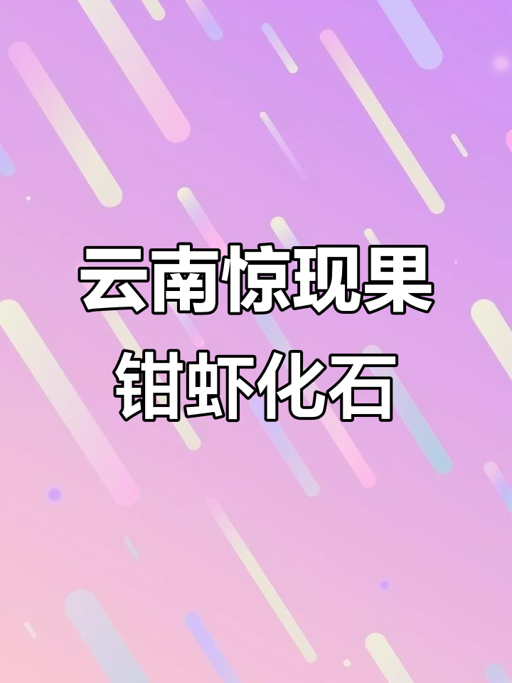 云南发现罕见果钳虾化石,首次记录震惊科学界