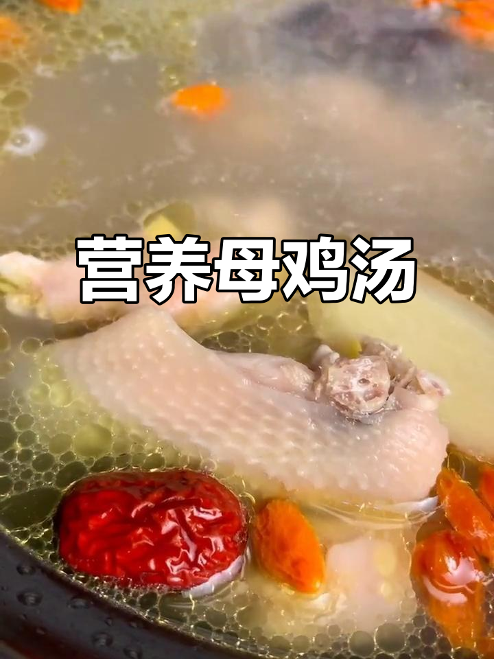 炖鸡汤,滋补又美味!党参山药桂圆汤