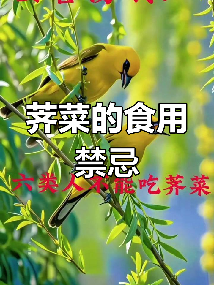 荠菜禁忌人群:高血压、腹泻者不宜食用