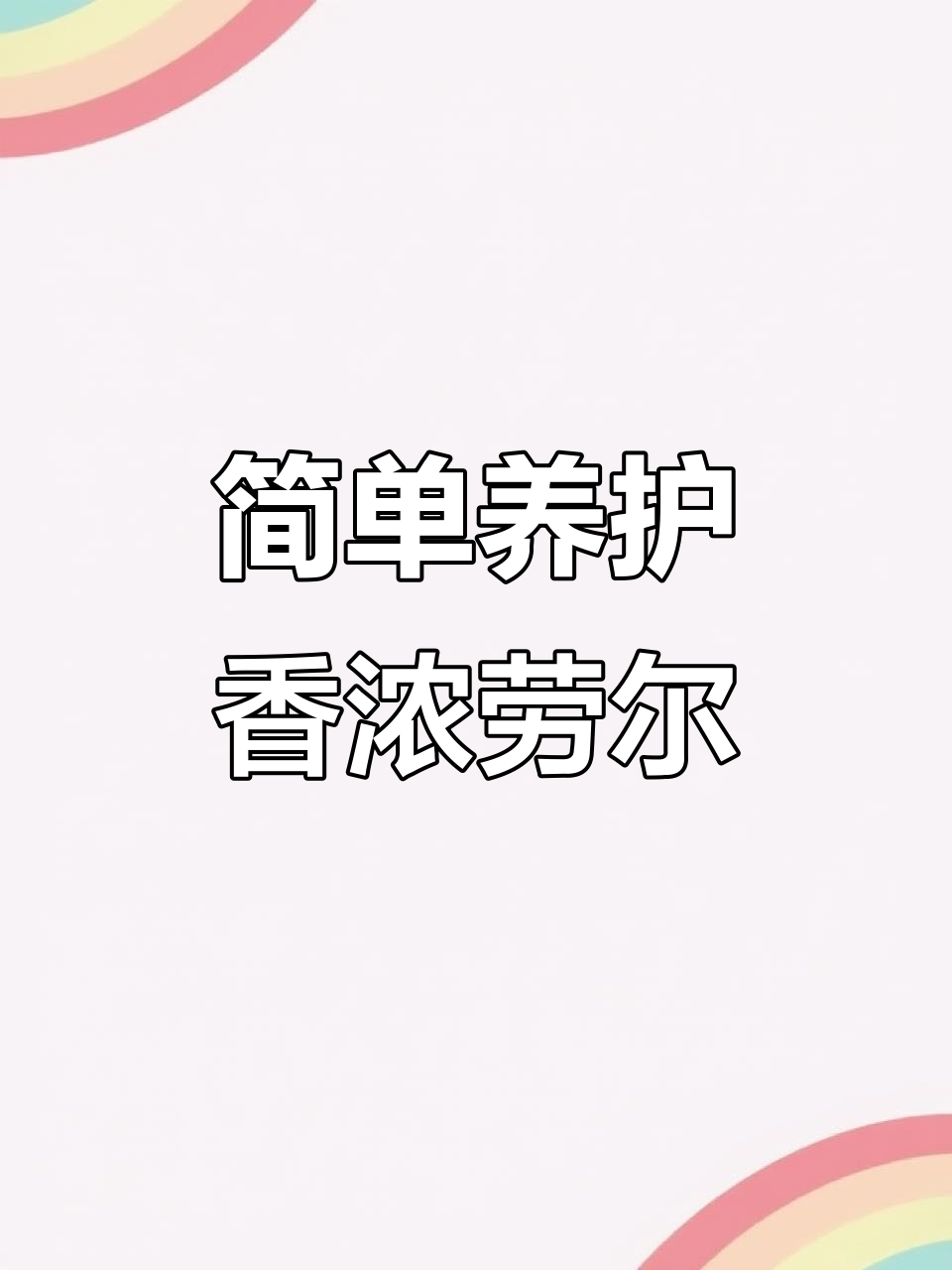 轻松上盆劳尔,香气四溢又好养