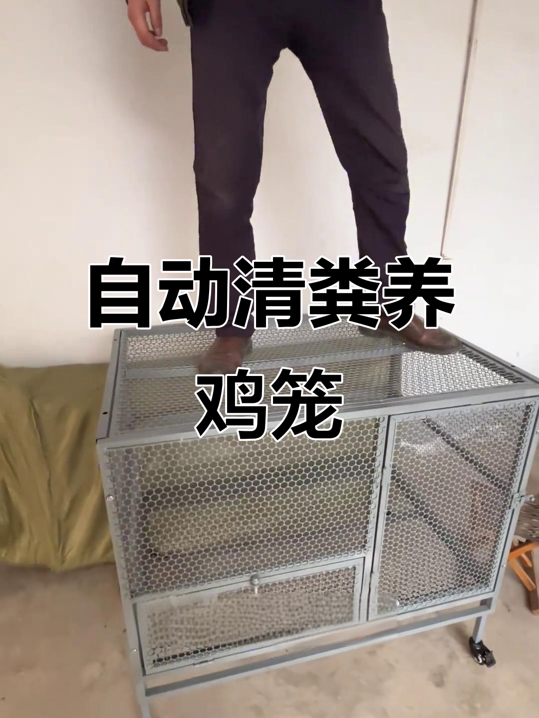 耐用养鸡笼,自动清粪,遮雨集蛋槽,移动便捷