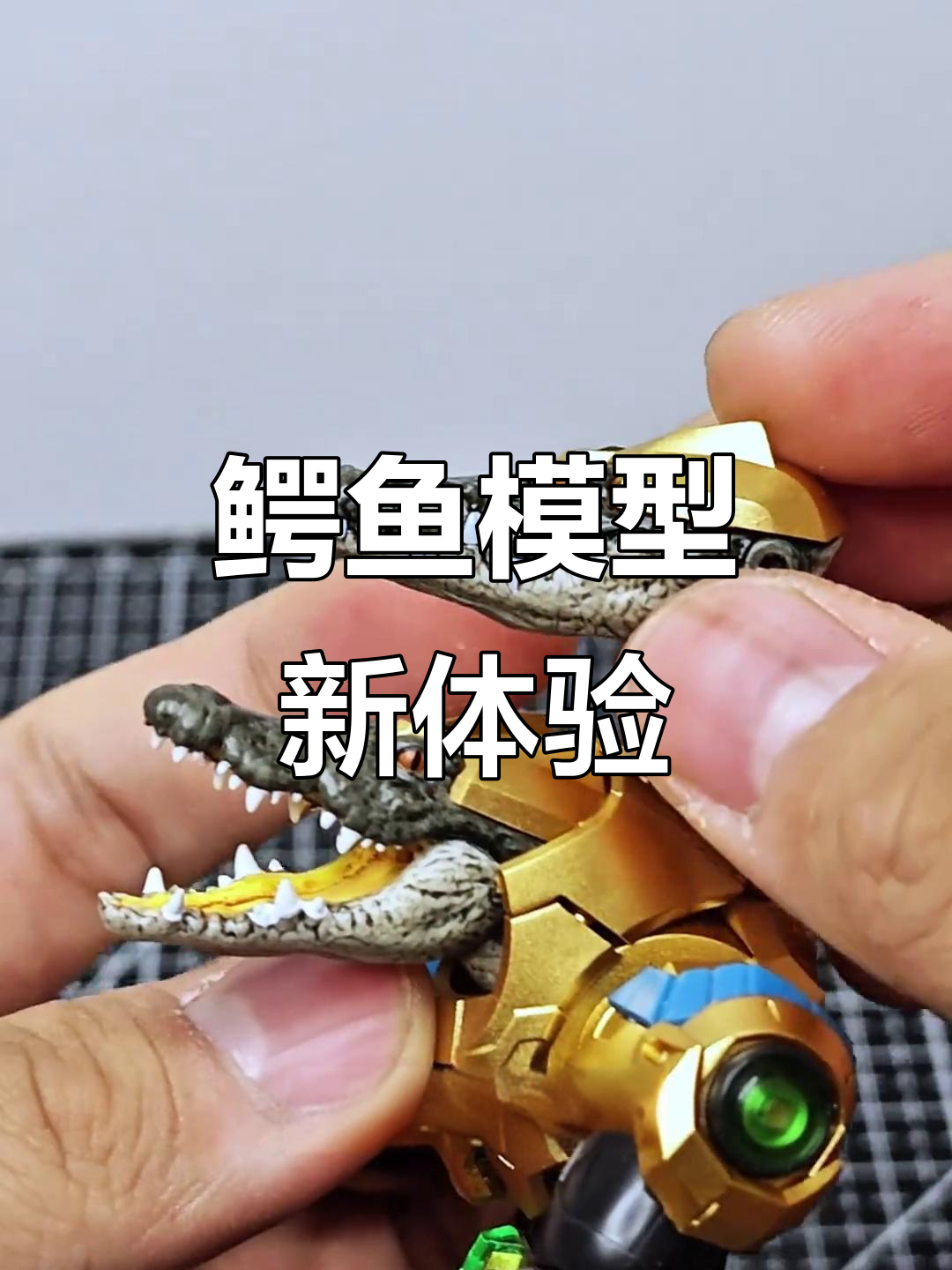 第一次尝试鳄鱼模型,造型独特,拼装体验超棒!