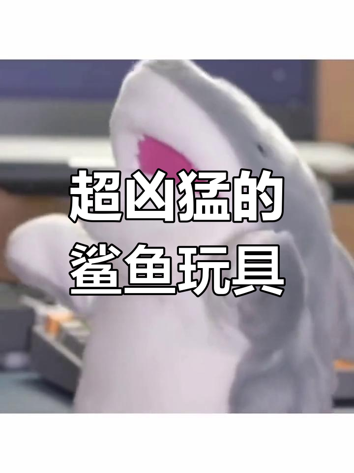 闺蜜送的鲨鱼玩偶太猛了,我竟然驯服它