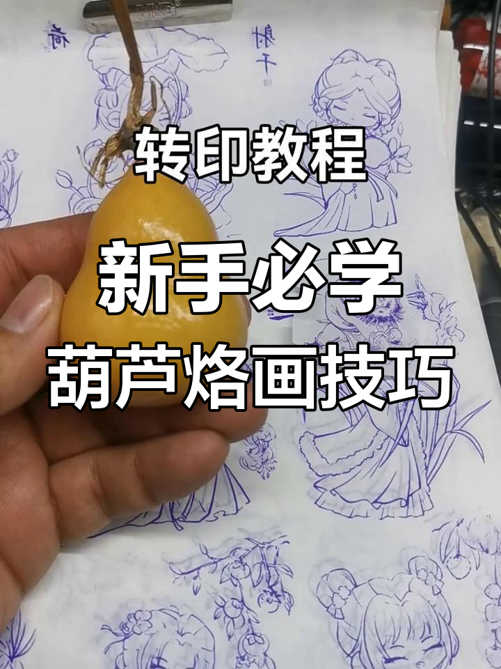 葫芦烙画新手教程,轻松掌握比例与细节