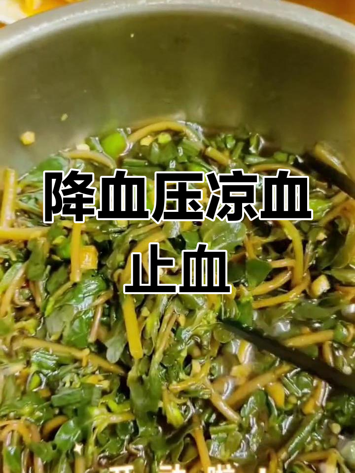 马齿菜的药用功效与作用