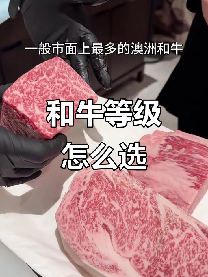 日本和牛等级揭秘:如何挑选顶级A5牛肉